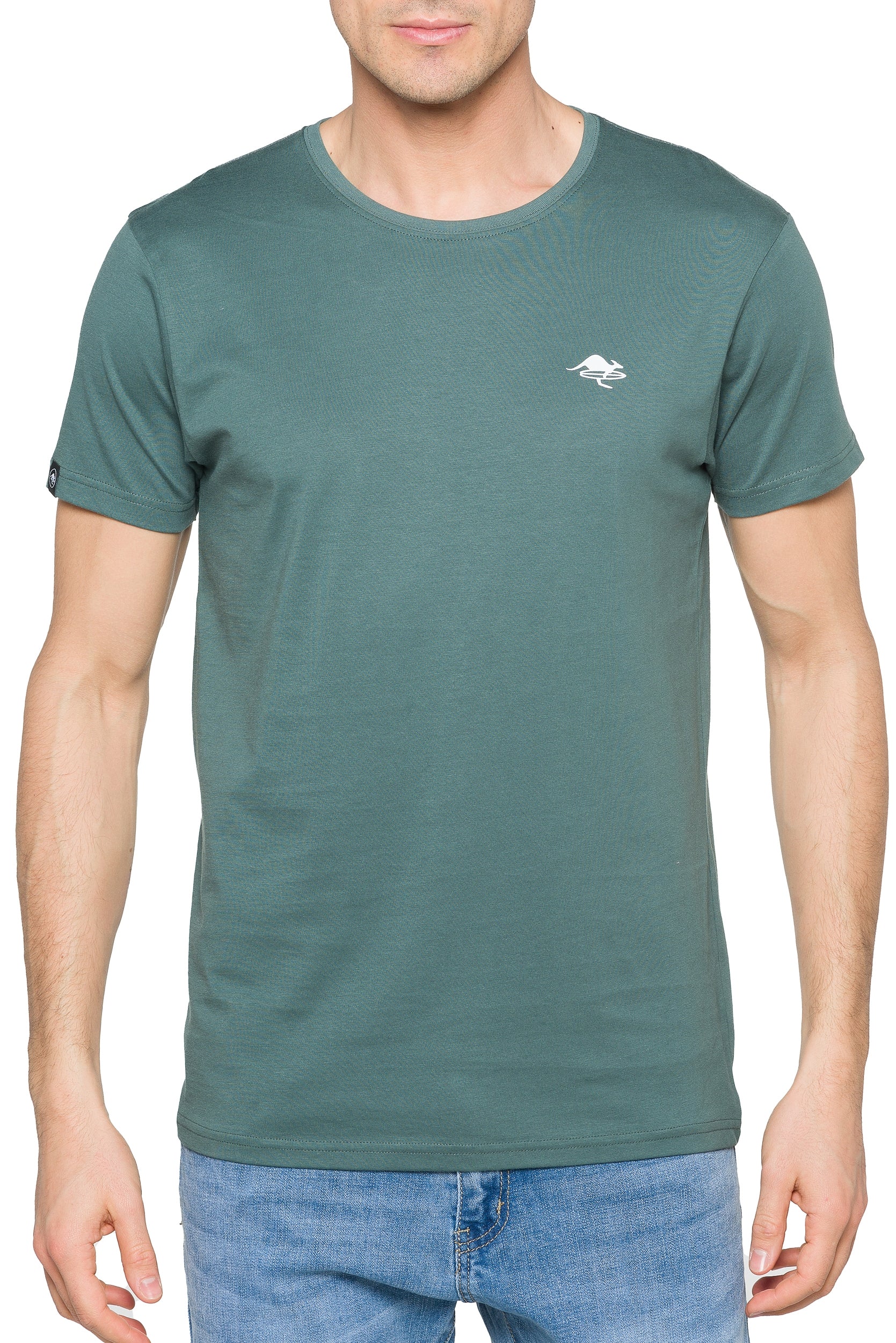 LIZARD Matchagreen