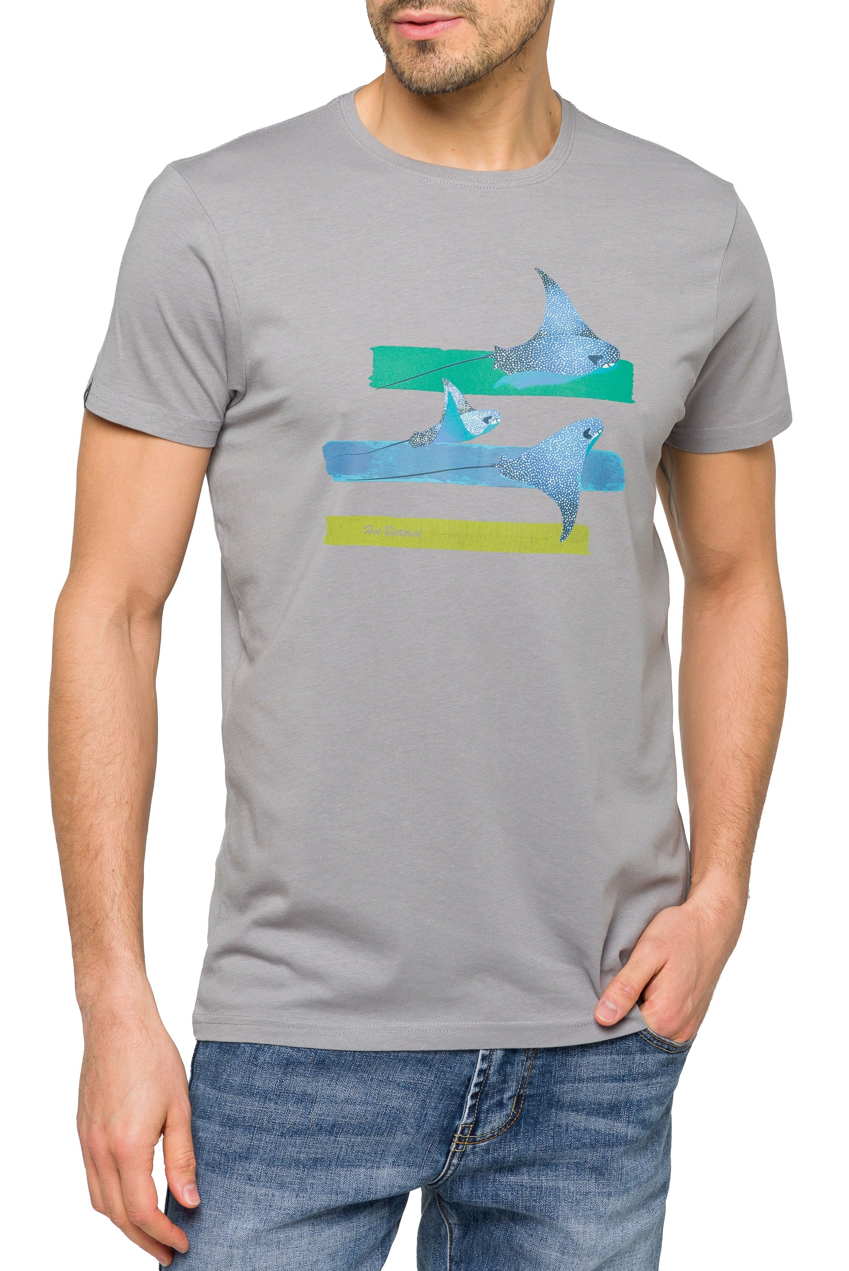 WINGS Lightgrey