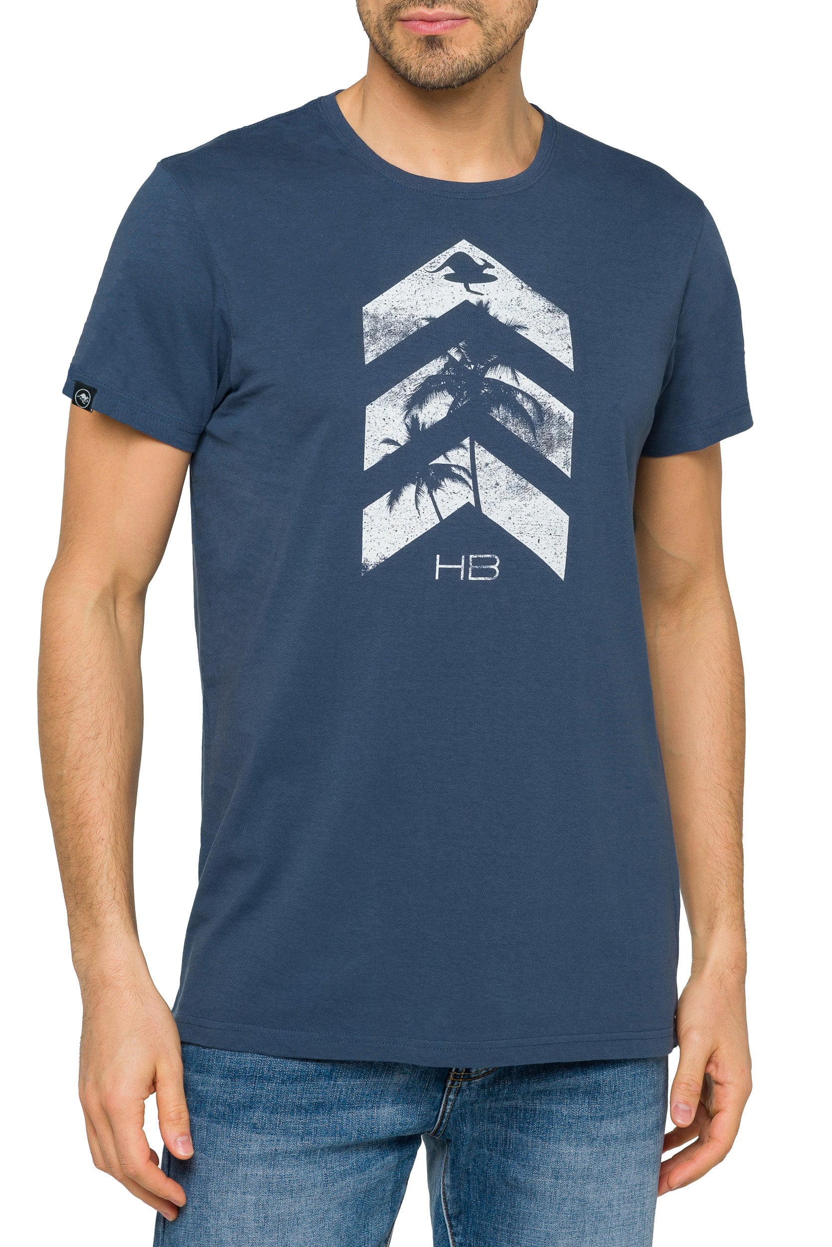 ARROW Indigo