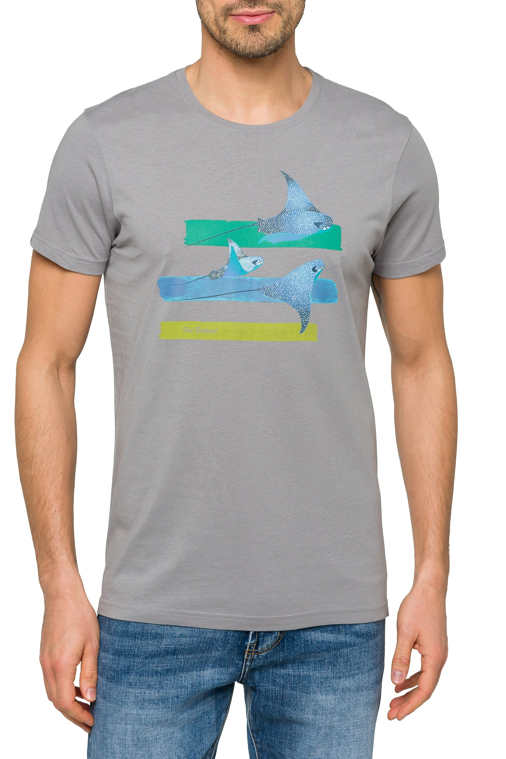 WINGS Lightgrey